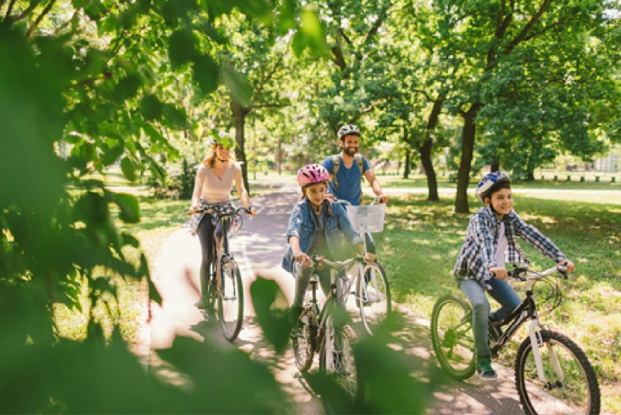 Trails, Parks, and Playgrounds