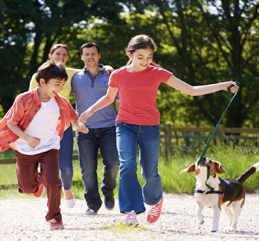 A family playing in the park with their dog