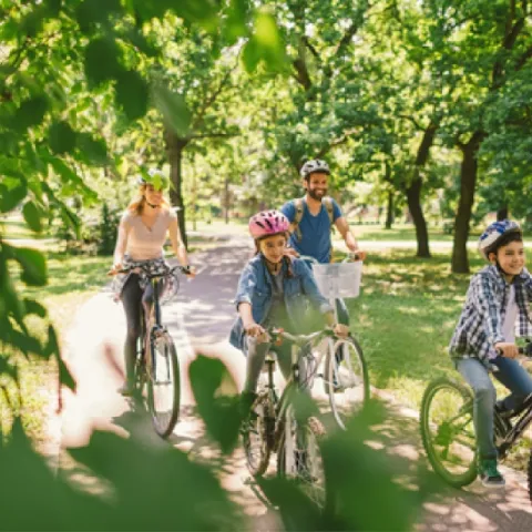 Trails, Parks, and Playgrounds