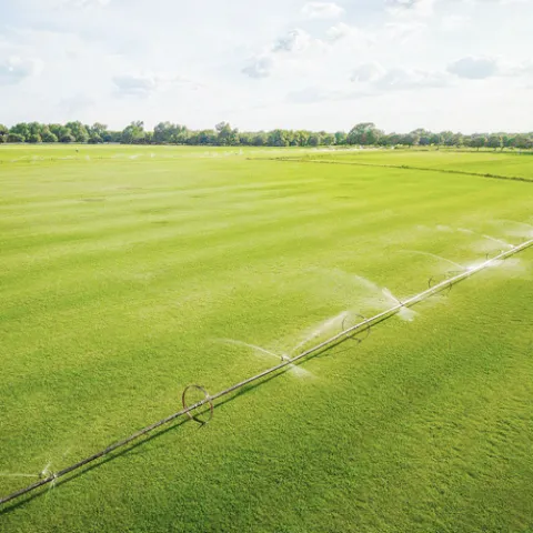 TWINWOOD TREE & GRASS FARM