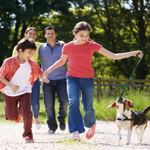 A family playing in the park with their dog
